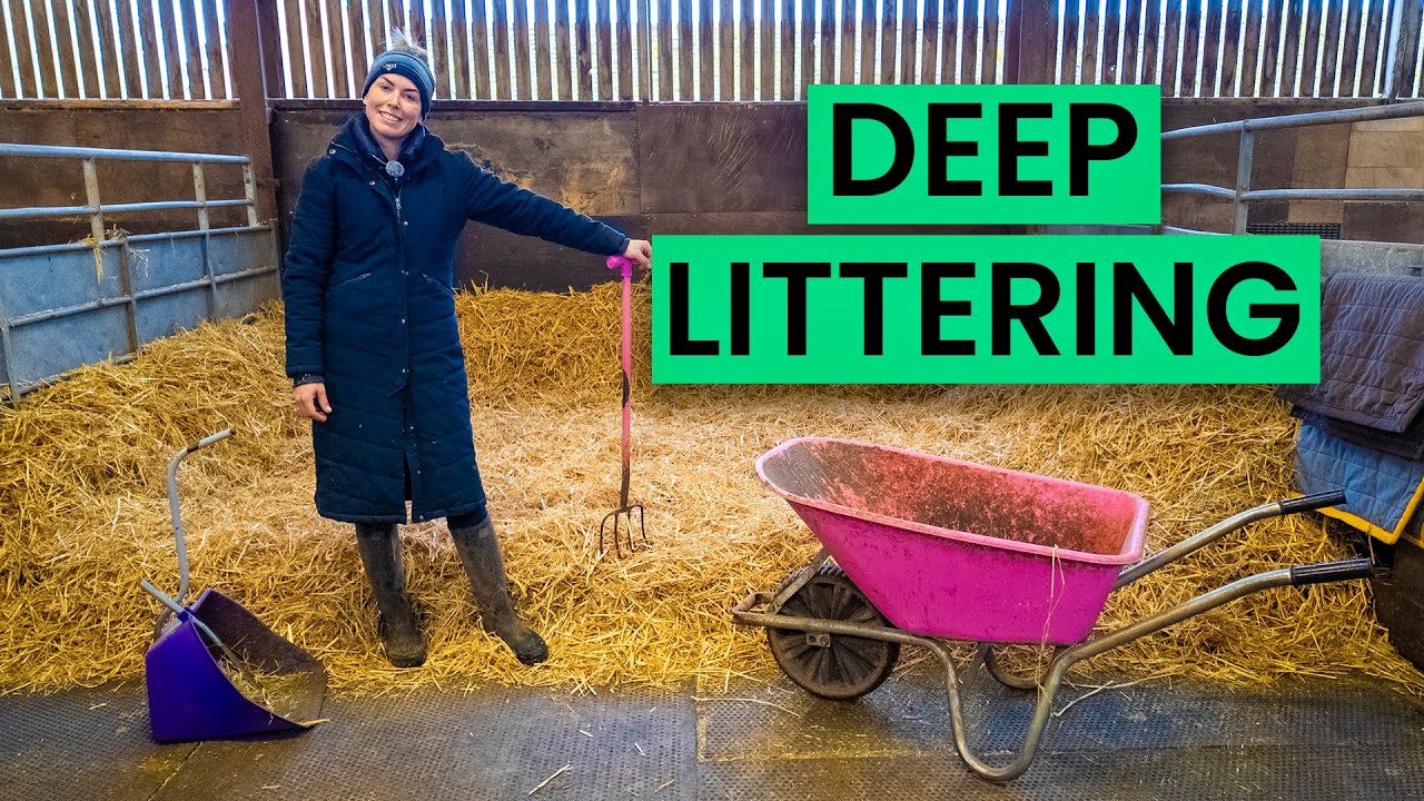 How to Deep Litter Like a Pro (Save Time & Money!)