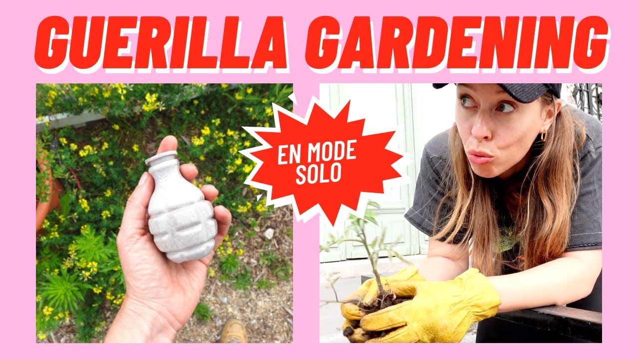 PARTIR À L'ASSAUT DES RUES AVEC DES PLANTES