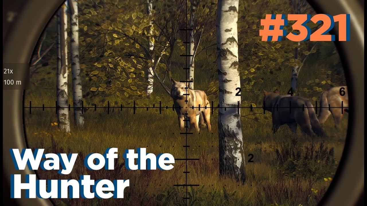 Den Wölfen auf der Spur 🐺 - Way of the Hunter #321