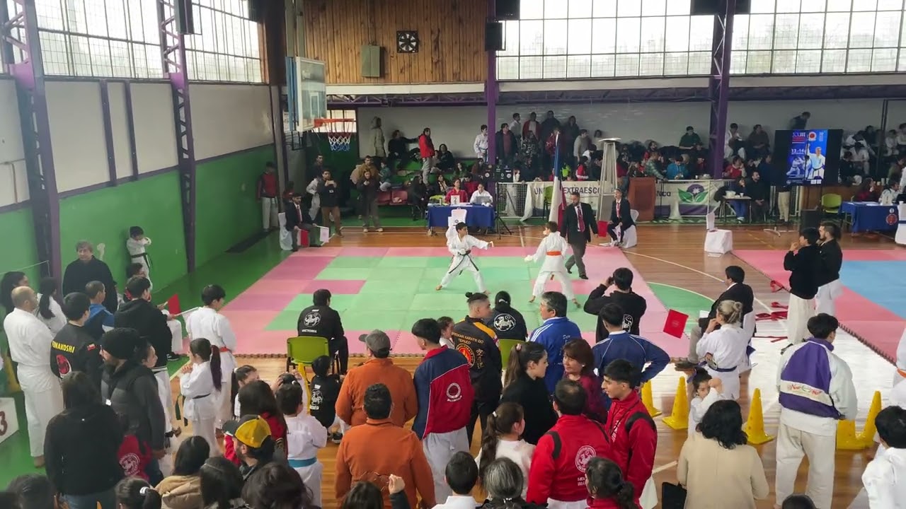 Final kumite 3. Torneo zona sur 2025-7-19