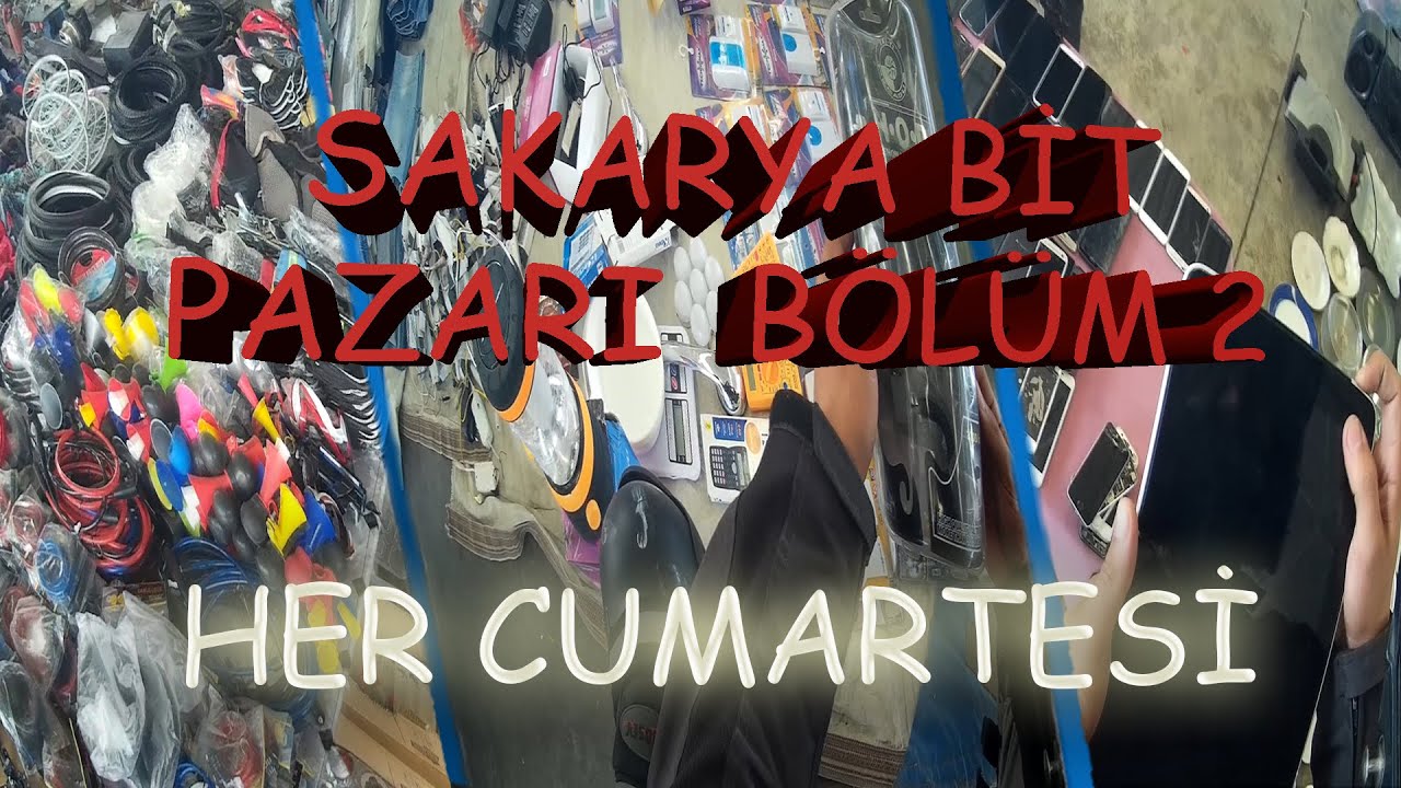 SAKARYA BİT PAZARI İNCELEMESİ 2