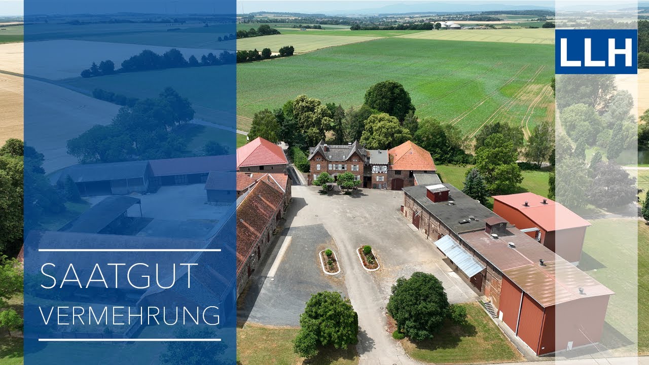 Ausgezeichnete Saatgutvermehrung: Die Domäne Baiersröderhof