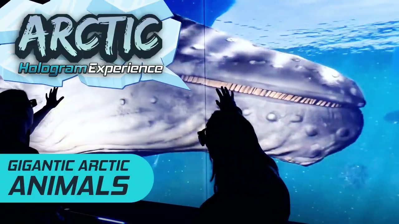 Arctic Experience at Hologram Zoo
