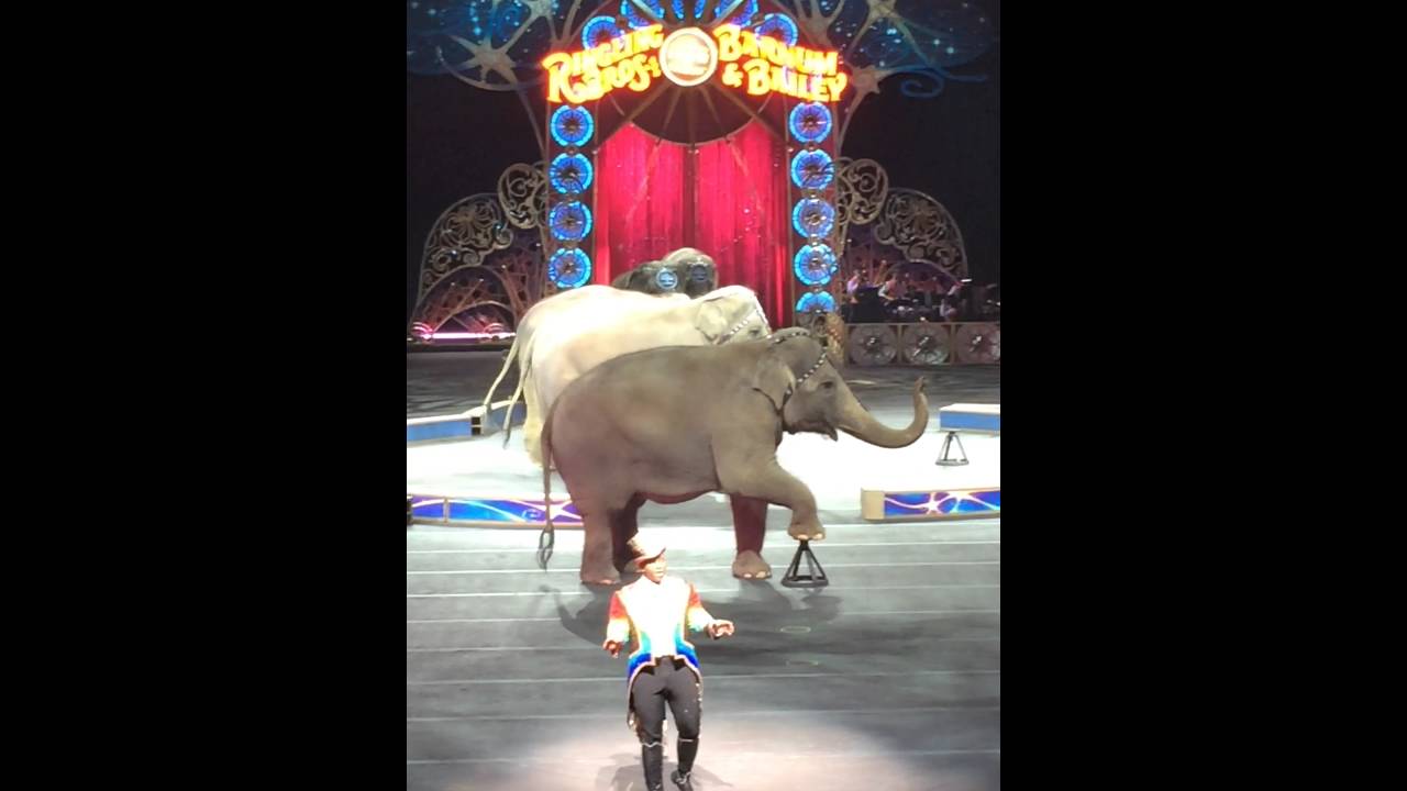 Ringling Bros. and Barnum & Bailey Circus 2/18/2016 (Philly)