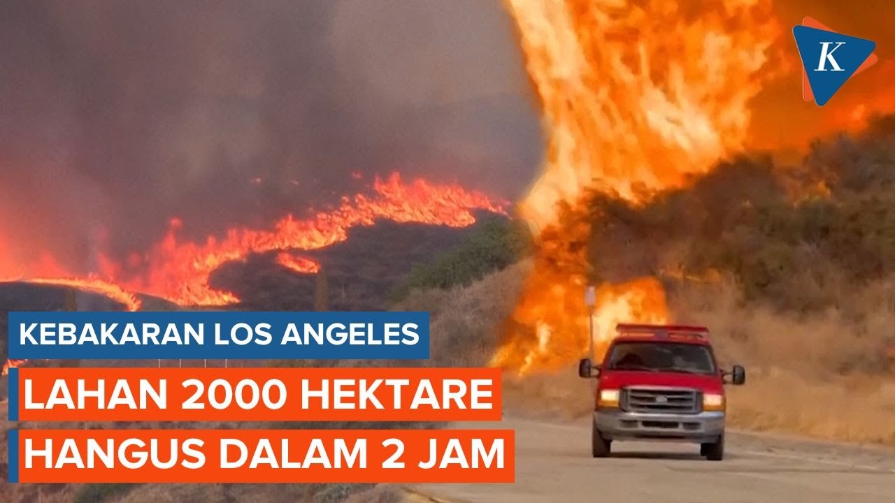 Kebakaran Los Angeles Meluas ke Utara, 2.000 Hektare Lahan Hangus