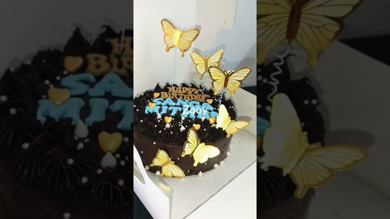 zooy cake 