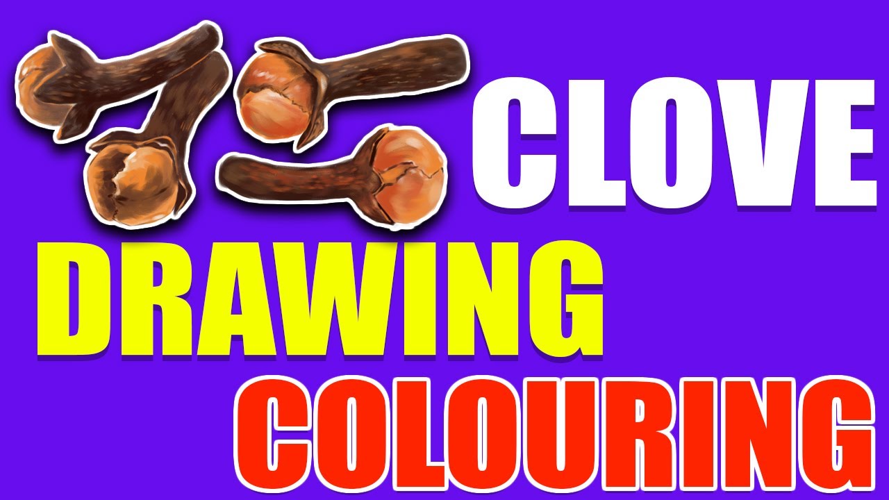 CLOVE DRAWING AND COLOURING ||Clove drawing tutorial || Clove drawing easy || Clove ki drawing