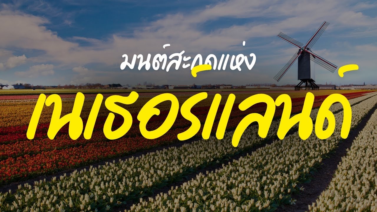 มนต์สะกดแห่งเนเธอร์แลนด์ : ดินแดนแห่งสายน้ำ กังหันลม และทิวลิป