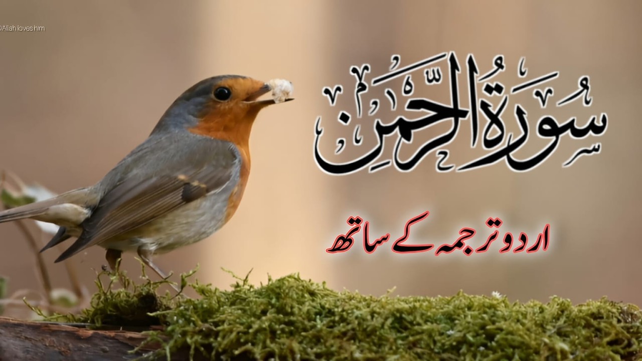 Surah Rahman Urdu Tarjuma k Sath🌿 | Qari Al Sheikh Abdul Basit Abdul Samad | AlQuran Studio