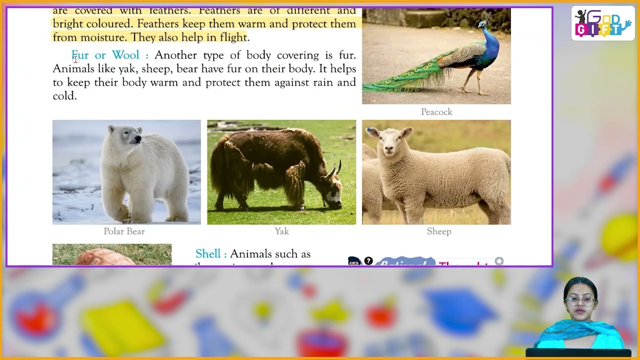 Ch 2 | Classico Books Publishing | Science | Class 05 |Animals and their Surroundings | For Children