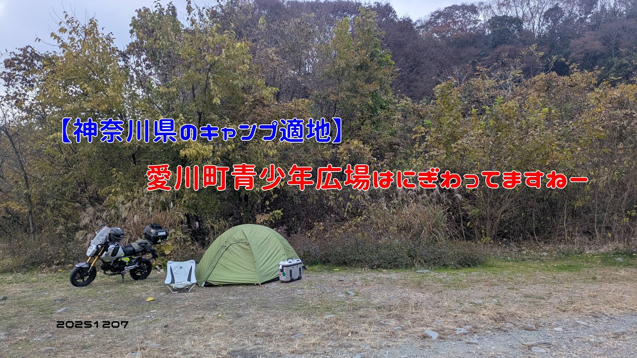 【神奈川県のキャンプ適地】愛川町青少年広場はにぎわってますねー　20251207