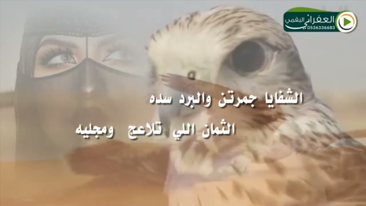 شيله سايق الفنجال لاهنت مسرعة