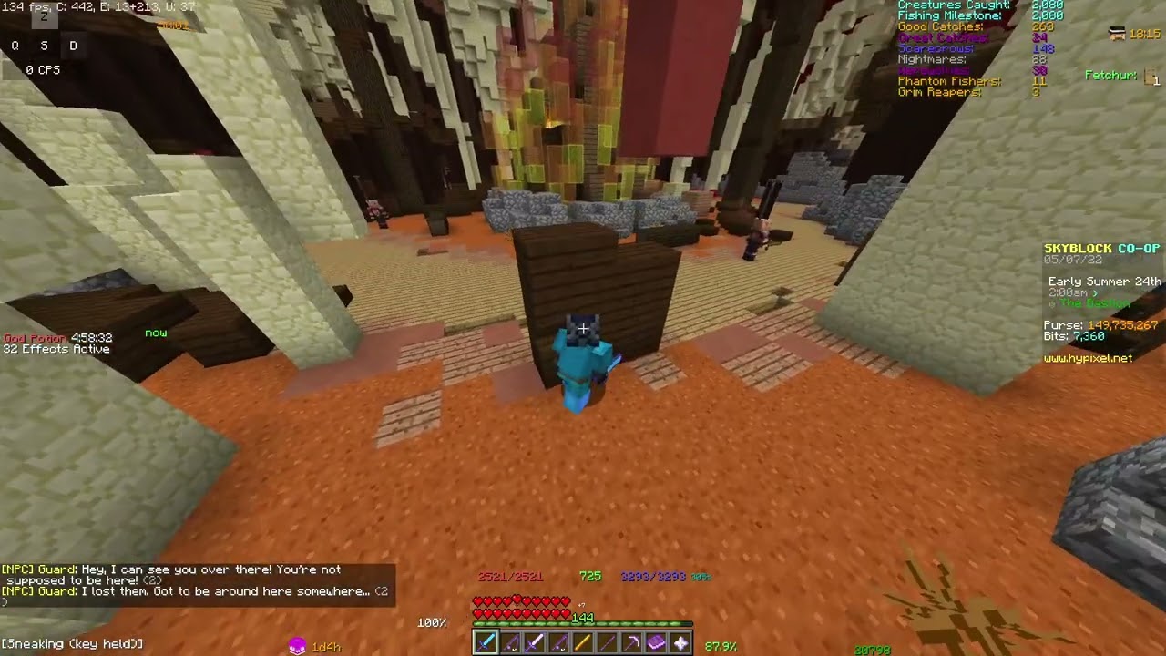 Hypixel skyblock mage rescue mission D