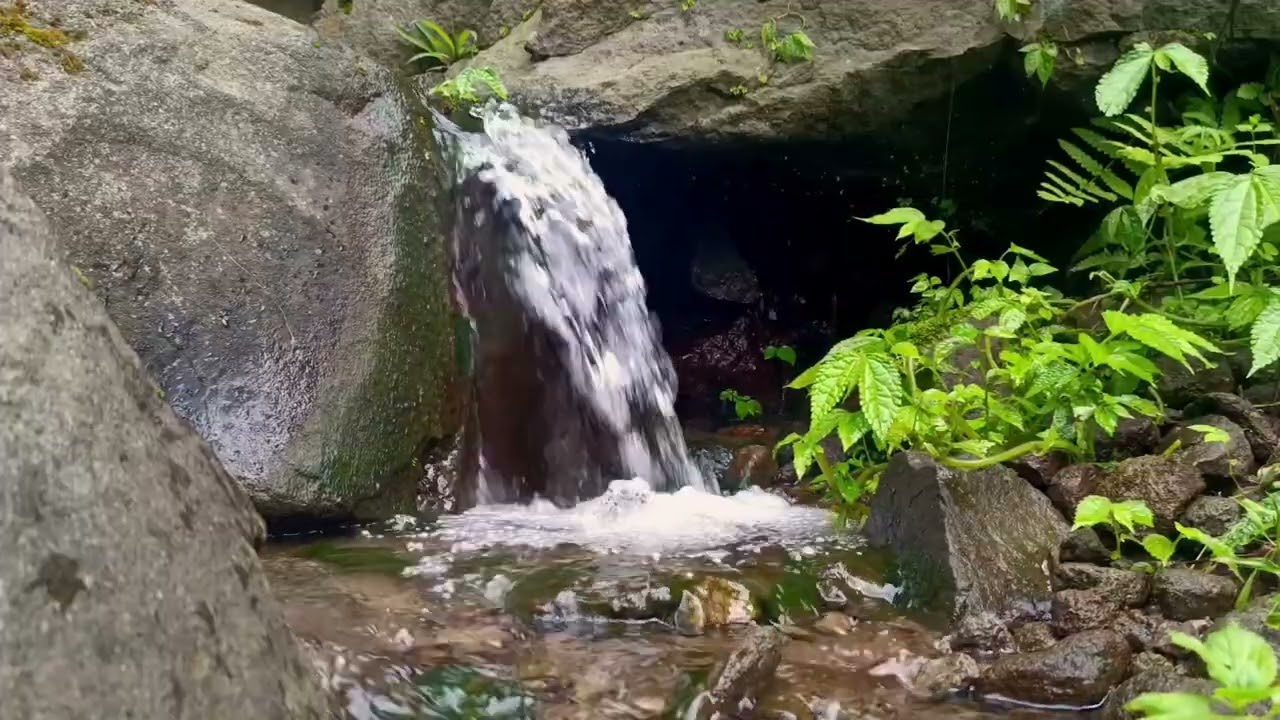 Healing Waters in the Deep Woods