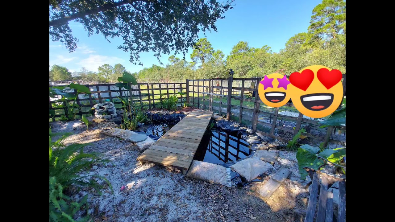 Building a pond bridge