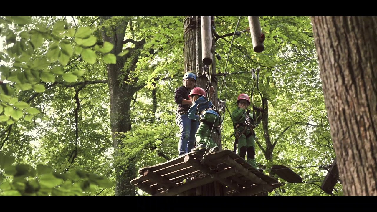Kletterwald Schloss Scherneck Sommer Spezial 2017