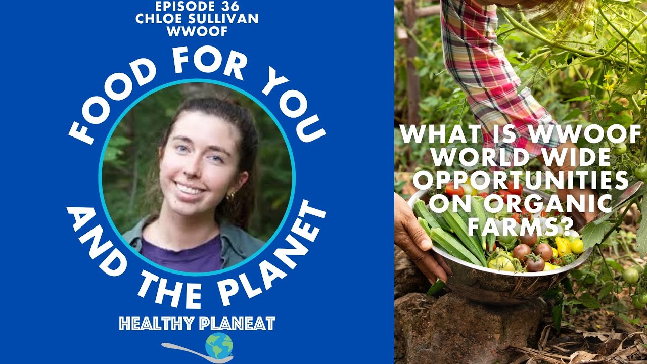 What Is WWOOF World Wide Opportunities on Organic Farms?