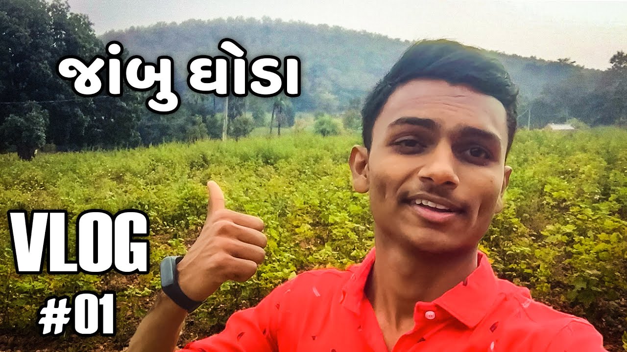 VLOG 1 - JAMBUGHODA | GUJRATI VLOG | COLLEGE TRIP | MY FIRST VLOG | BhaumikPatel