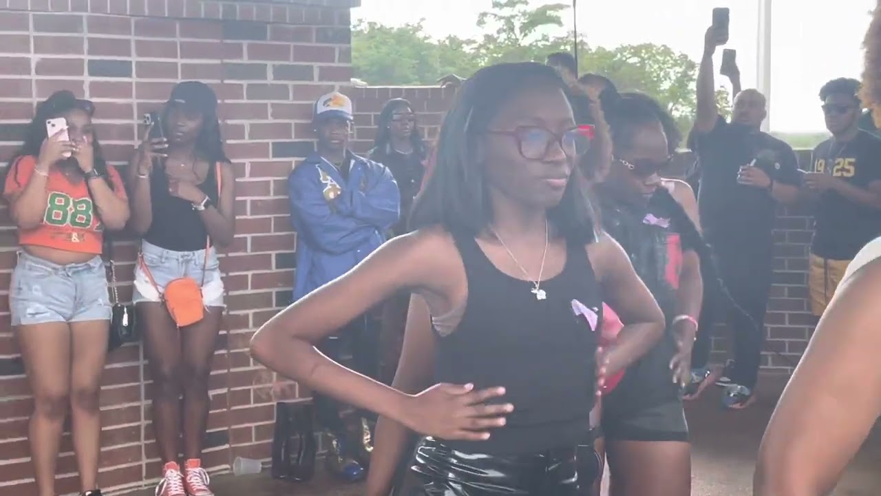 Delta Sigma Theta Sorority, Inc. | The Real Beta Alpha Chapter | FAMU Set Friday 2023