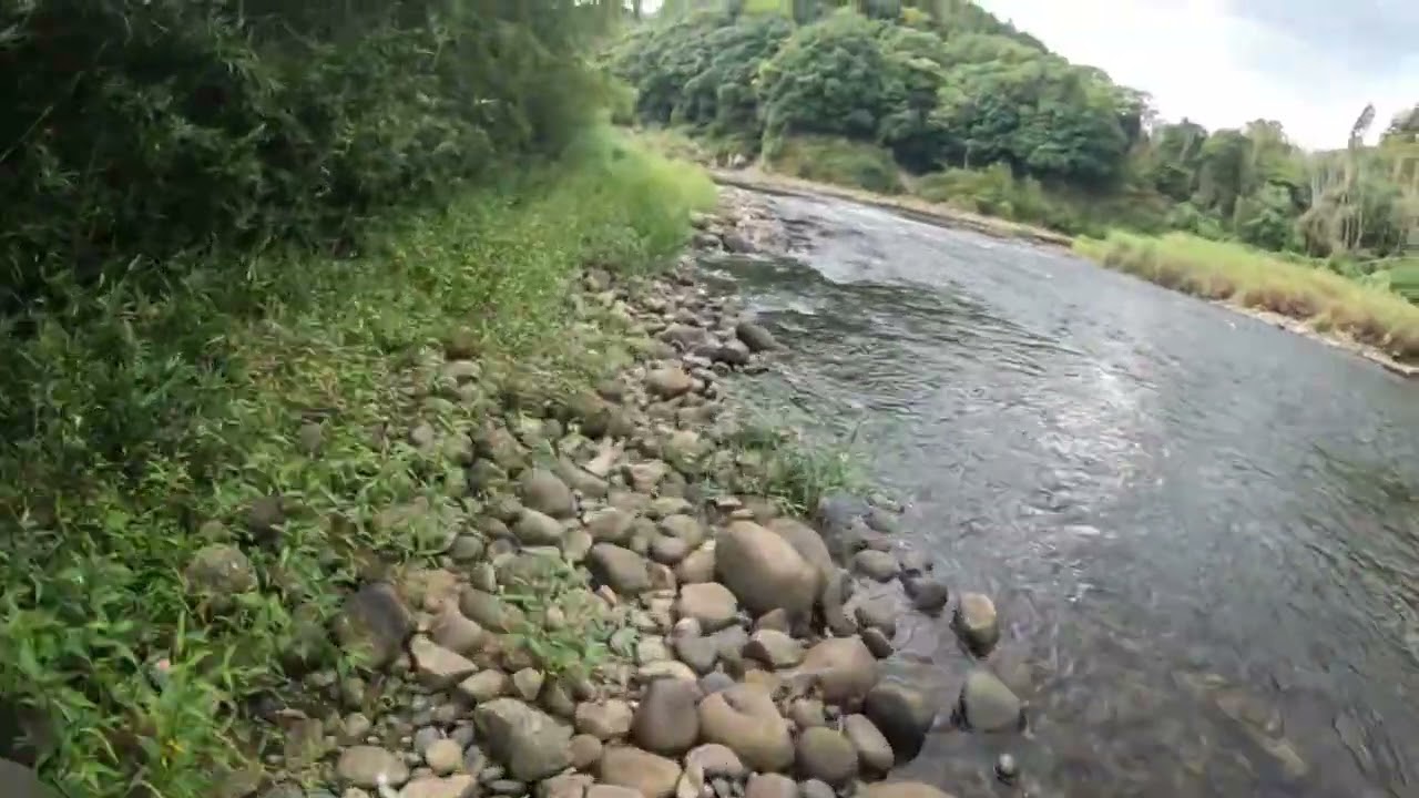 【木津川】スモールマウスバス釣りポイント紹介｜鮎釣りでも有名なスポットを歩いてみた