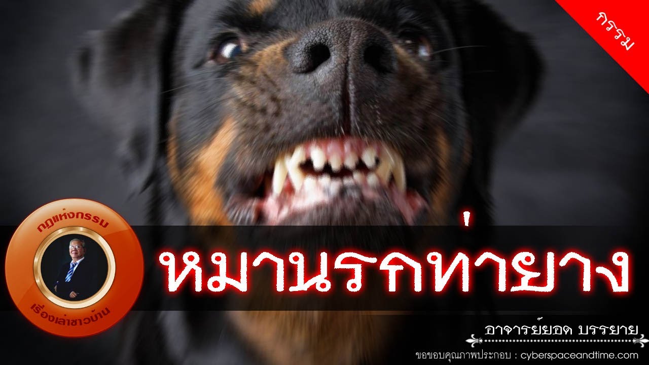 อาจารย์ยอด : หมานรกท่ายาง [กรรม]