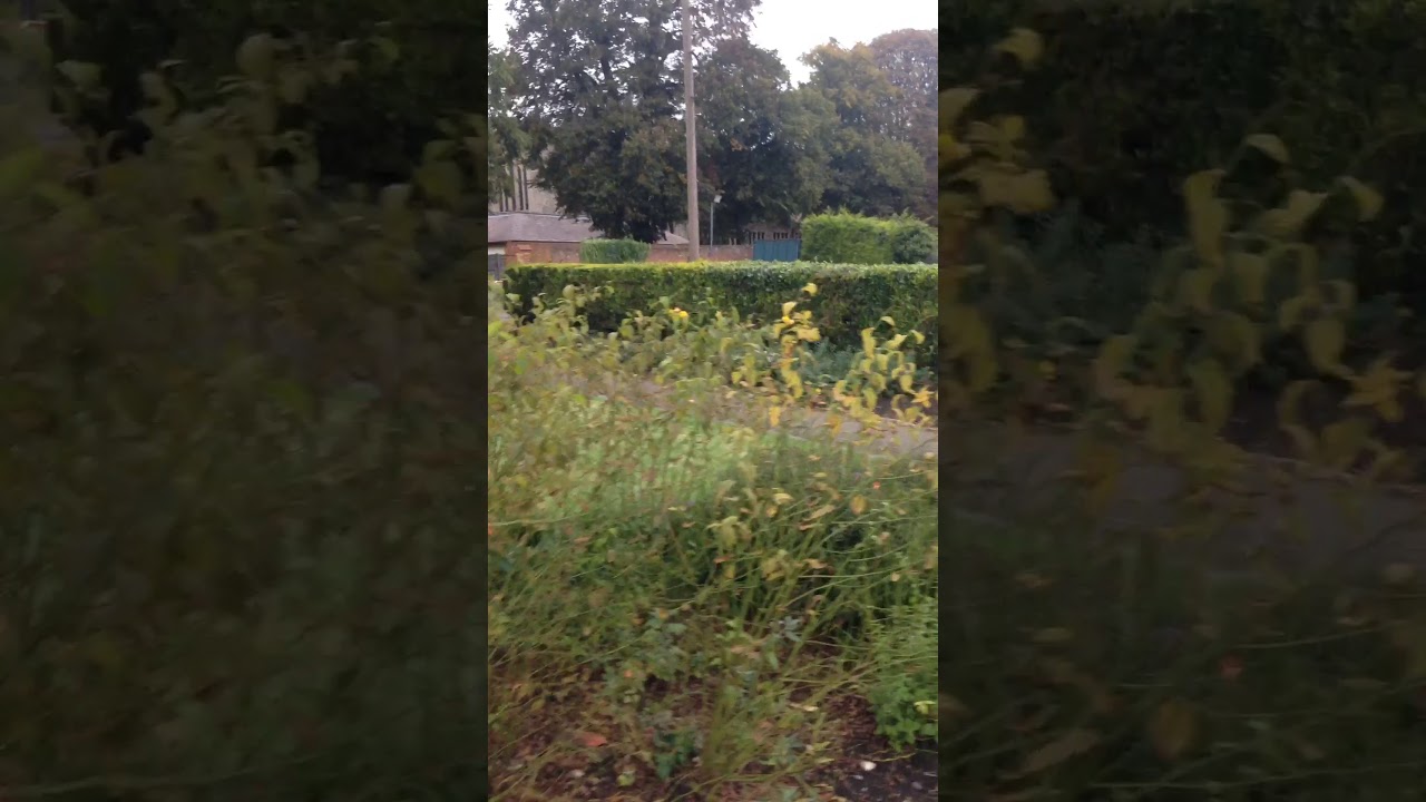 Bromley Church Park and Garden