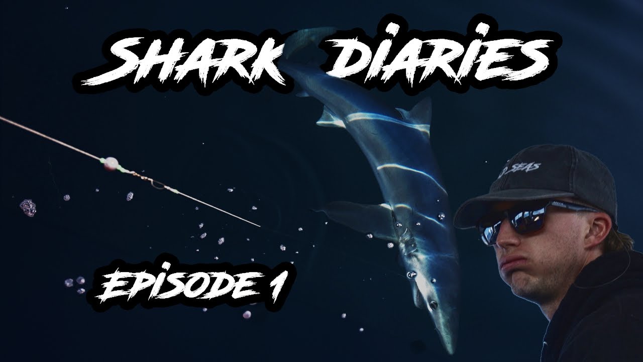 Shark Diaries: Ep. 1 - Catch and Release Shark Fishing In Cornwall, UK
