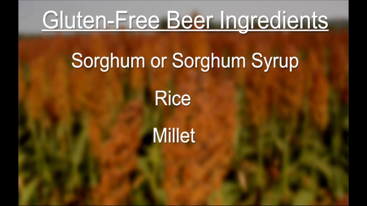 Gluten Free Beer: Real Beer Without the Gluten