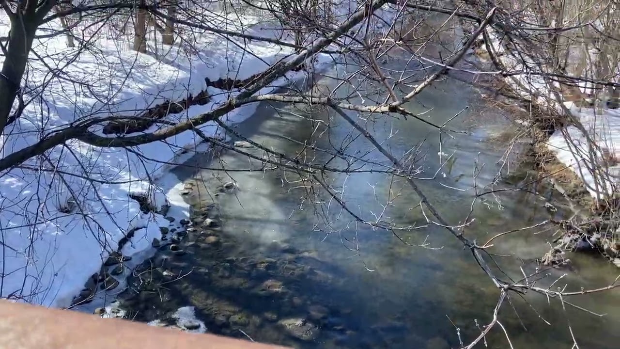 SNOW HAS REFUSED TO MELT 😂😂😂CANADA WINTER 2026 IN ONTARIO 
