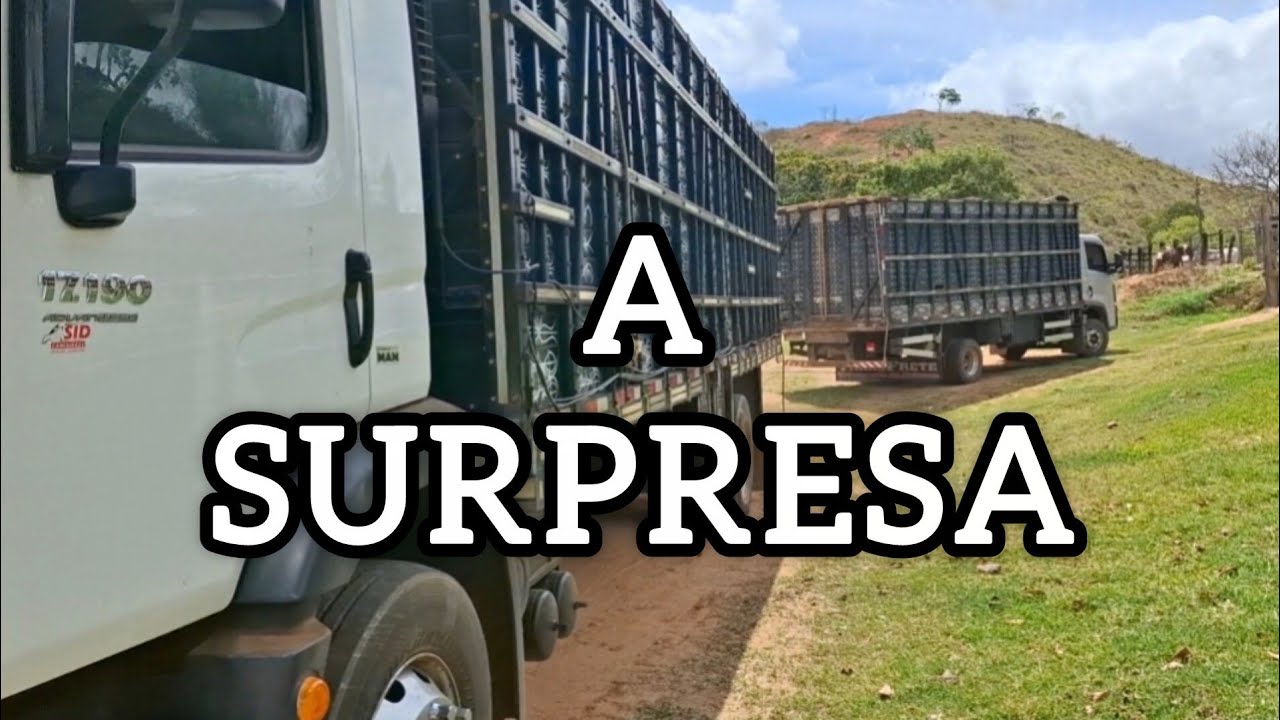 34 BOIS, CARRETA 2 ANDARES