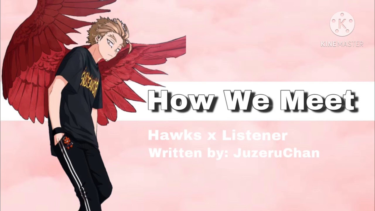 How We Meet || Hawks x Listener || [fan requested!]
