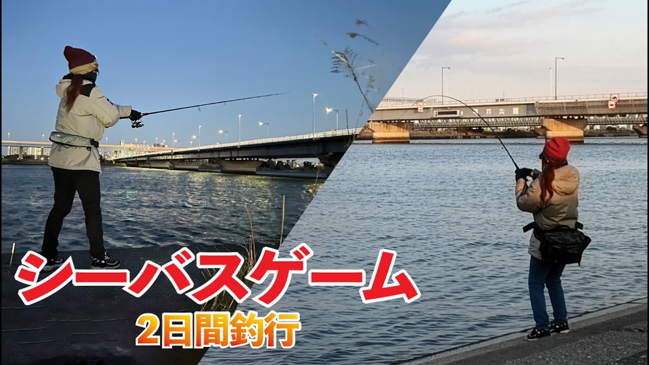 【釣り】シーバスゲーム（夜＆昼２日間釣行）