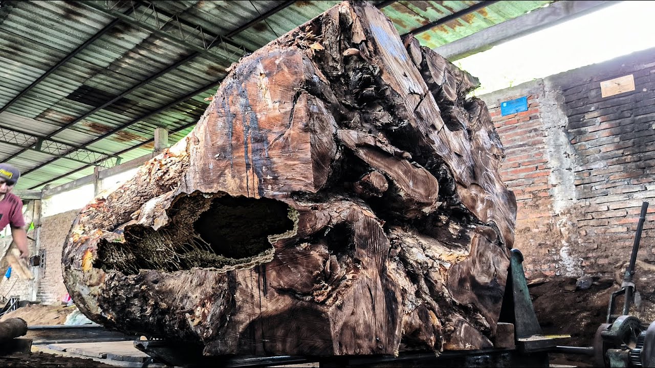 The World&rsquo;s Largest Sawmill Reveals Shocking Scenes ‼️Horror While Cutting Giant Logs