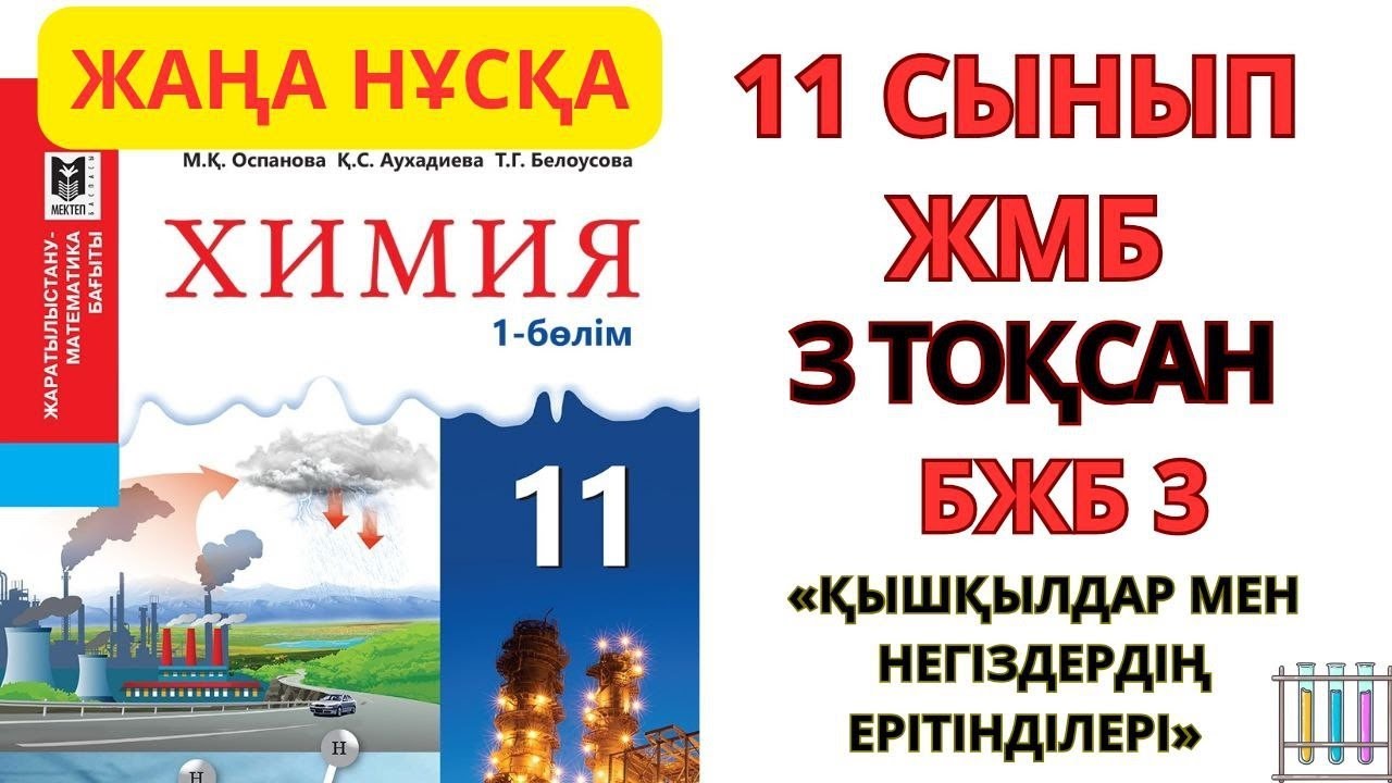 11 СЫНЫП ЖМБ | 1-НҰСҚА| Химия | 3-тоқсан | БЖБ-3 | Қышқыл және негіз ерітінділері #бжб