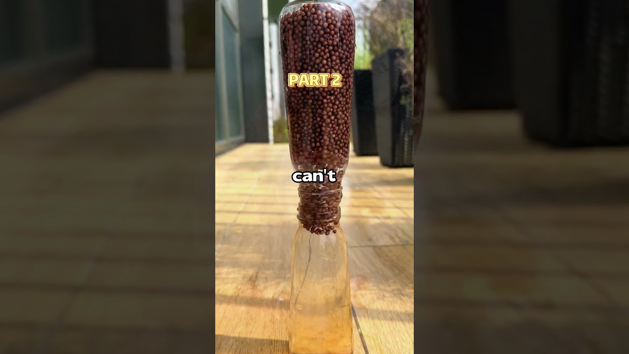 I CAN'T stop thinking about the time I POUNDED my friend in the car #reddit #shorts #video #story