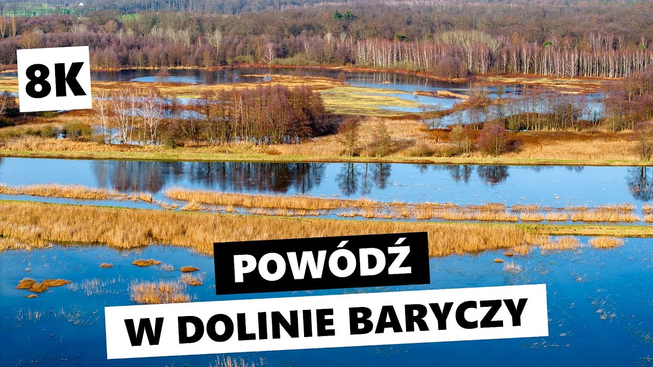 Powódź w Dolinie Baryczy [8K] | Stawy Milickie, Żmigród, Barycz, Milicz, Ruda Milicka, stawy, natura