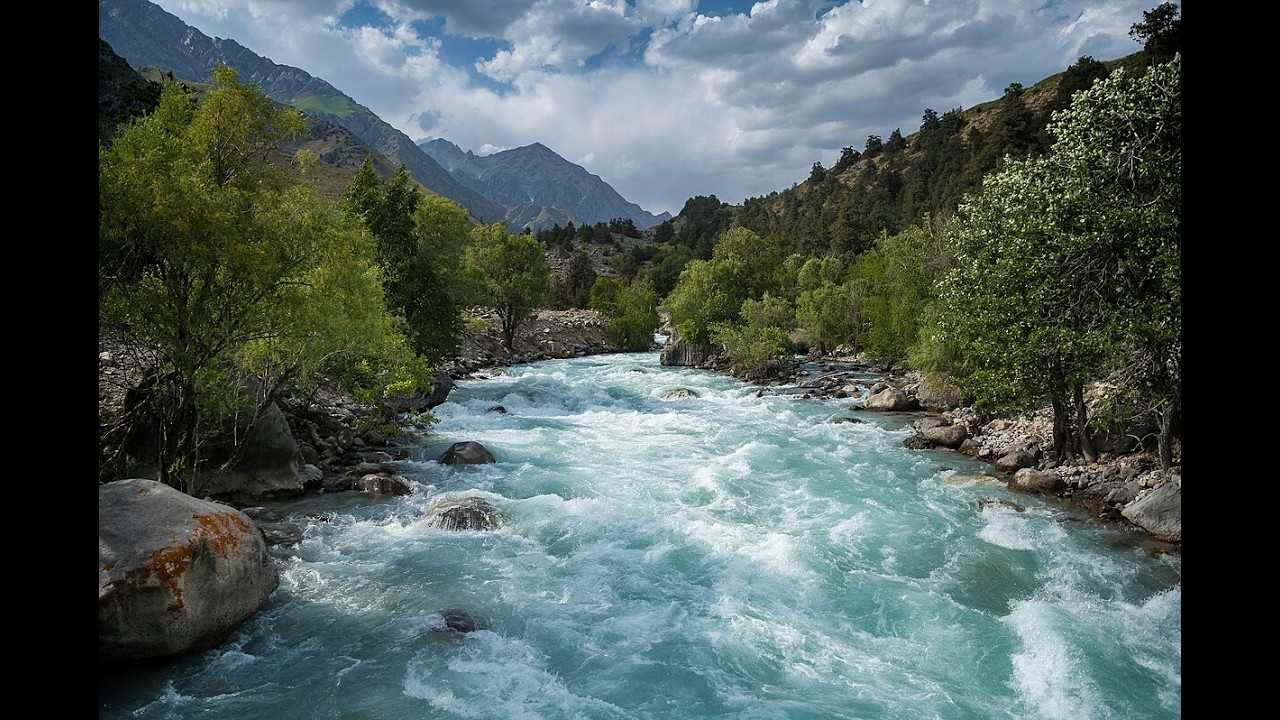 Peaceful River Sounds 🌿 Calm Water & Forest Ambience for Deep Sleep