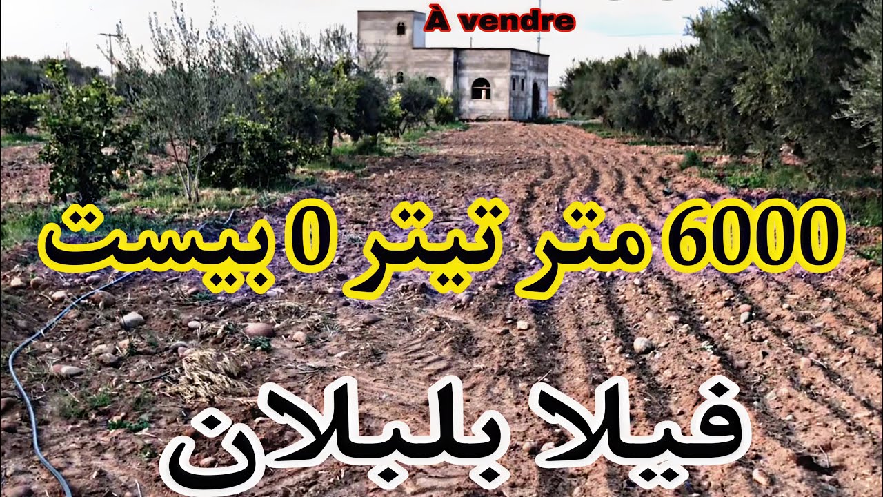 أرض للبيع عبدالله غيات كل متر 22 0 بيست
