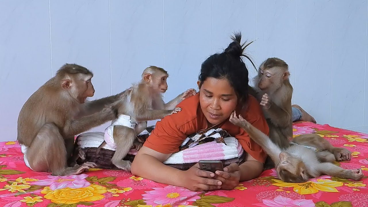 Smart Kako Luna Olly And Pi Focus To Grooming Mom Together