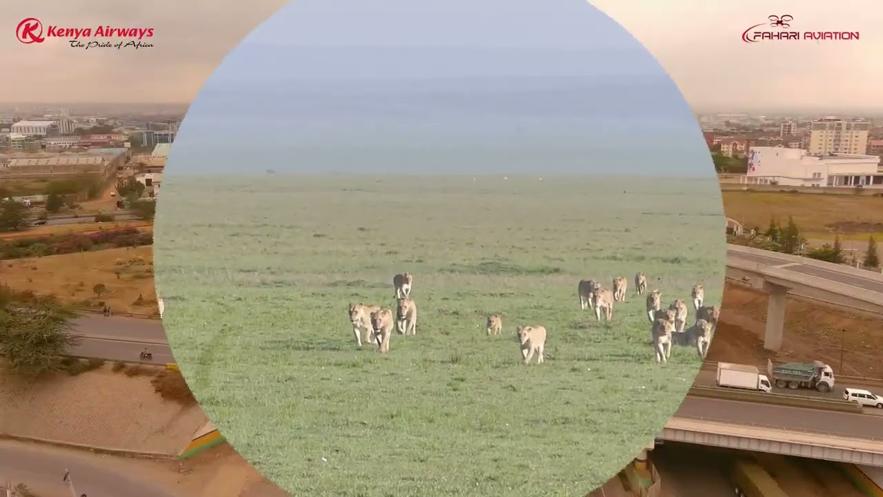 The Real Africa Travel