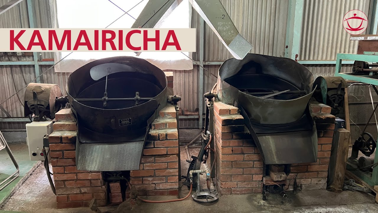 Tea in Japan: Kamairicha