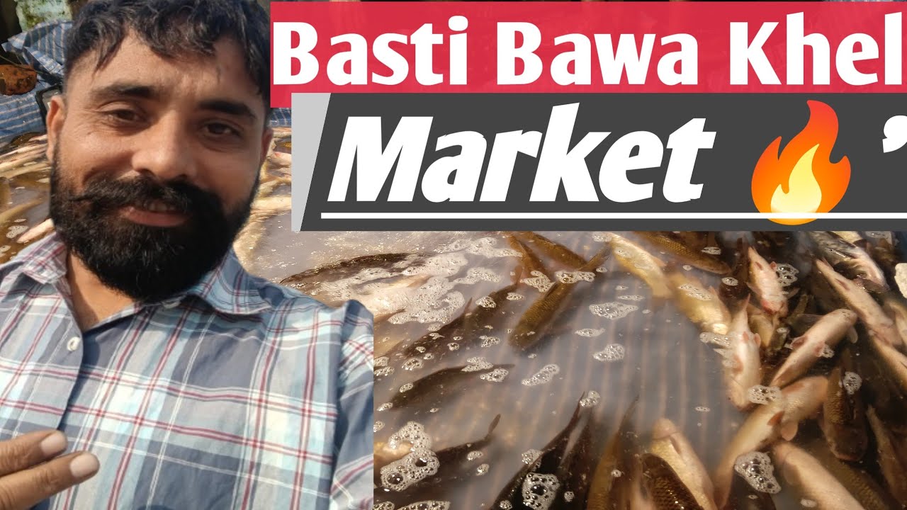 Jalandhar di Famous Basti Bawa Khel Market | Full Market Tour🔥