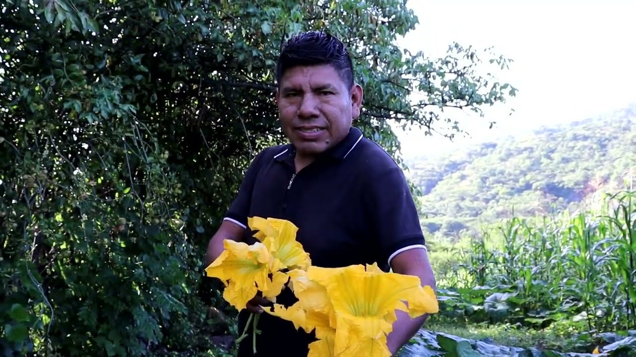 FLOR DE CALABAZA - Videoclip Oficial - El Coyote de Guerrero
