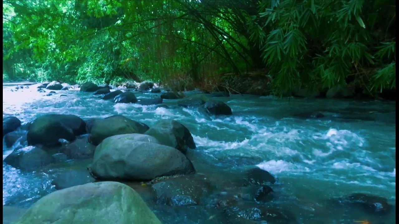 Beautiful Relaxing River  Nature Sounds Sleep Meditation Study Stress Relief Mindfulness