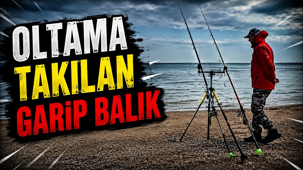 Kıyıdan yemli balık avı /Yemli balık  nasıl tutulur /  Yemli balık avı nasıl yapılır .