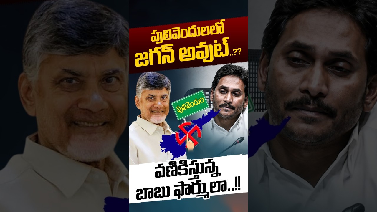 CM Chandrababu Focus On Pulivendula: పులివెందులలో జగన్ అవుట్..?? | YS Jagan | Nethra Tv Telugu