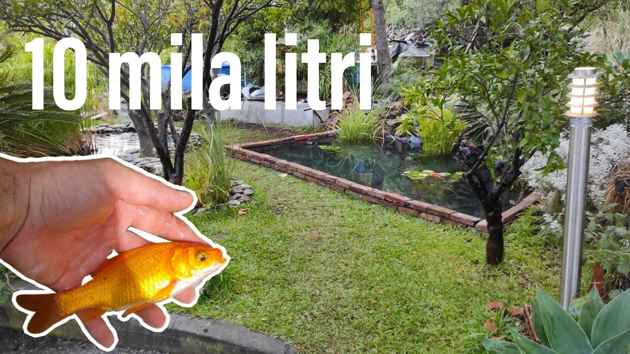 NUOVO LAGHETTO da 10 MILA litri!