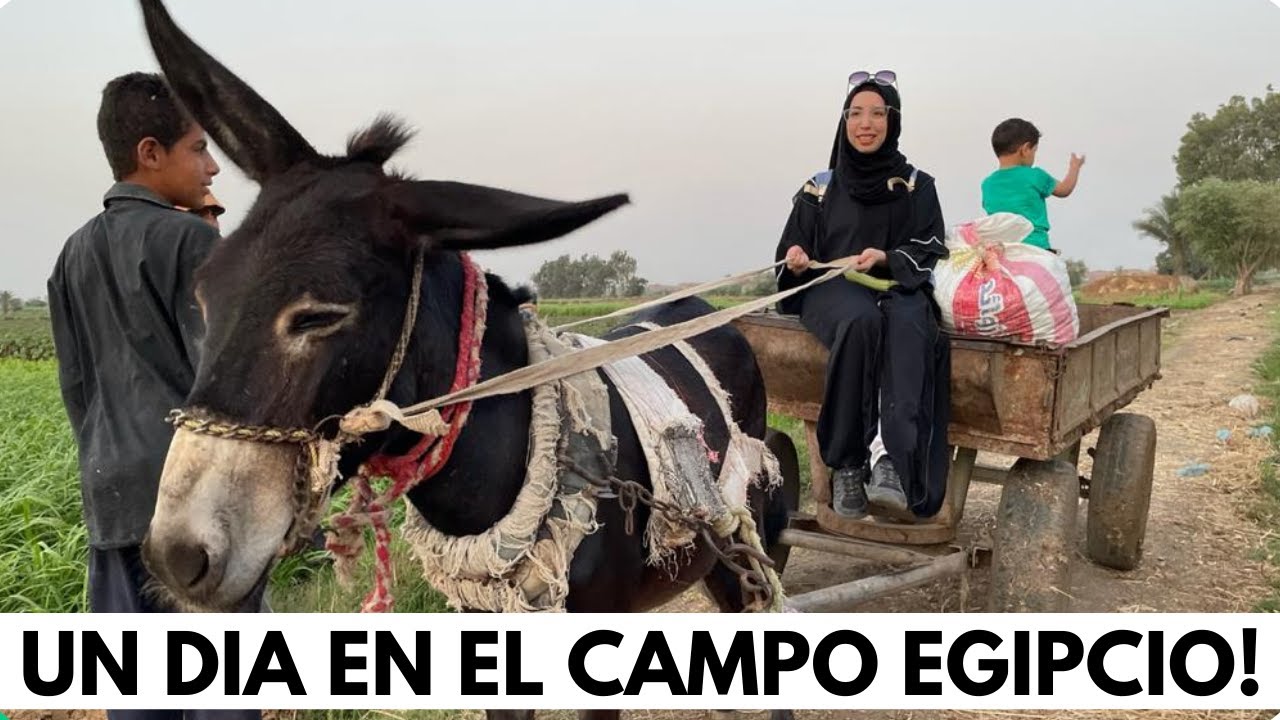 ASÍ ES VIVIR EN UN PUEBLO EGIPCIO!