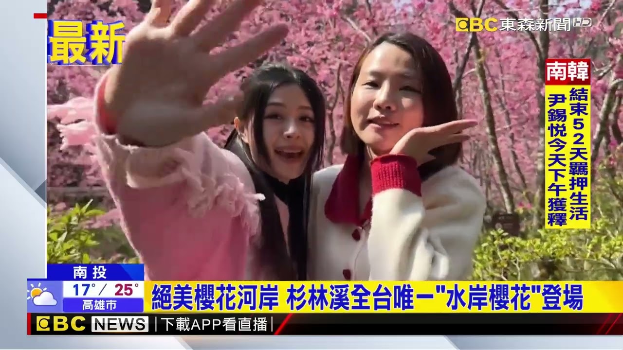 杉林溪粉紅盛宴 全台唯一「櫻花水岸」超夢幻@newsebc