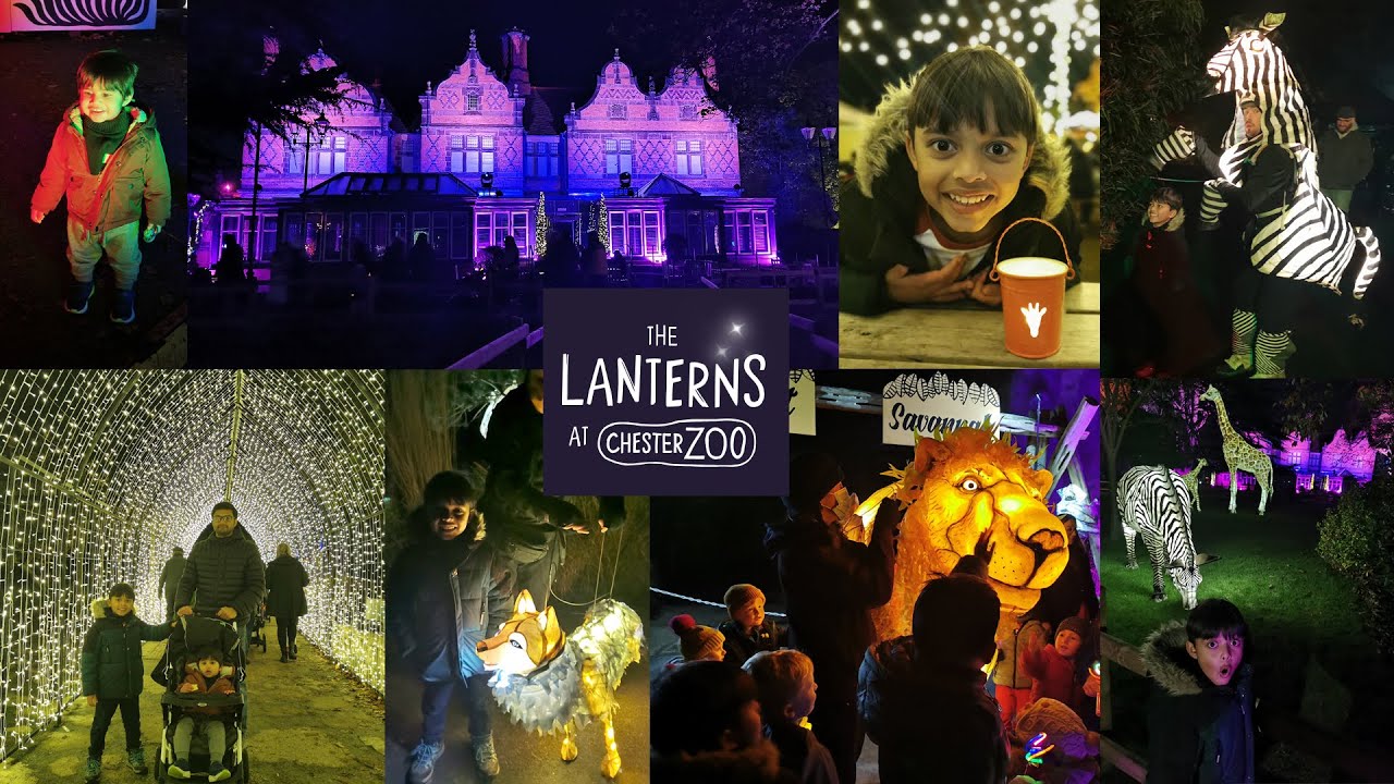 The Lanterns at Chester Zoo - Family Day Out